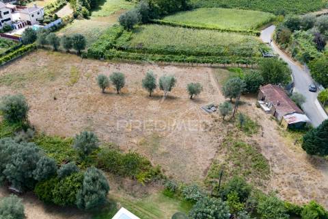 Quintinha com casa em xisto para recuperar – anais