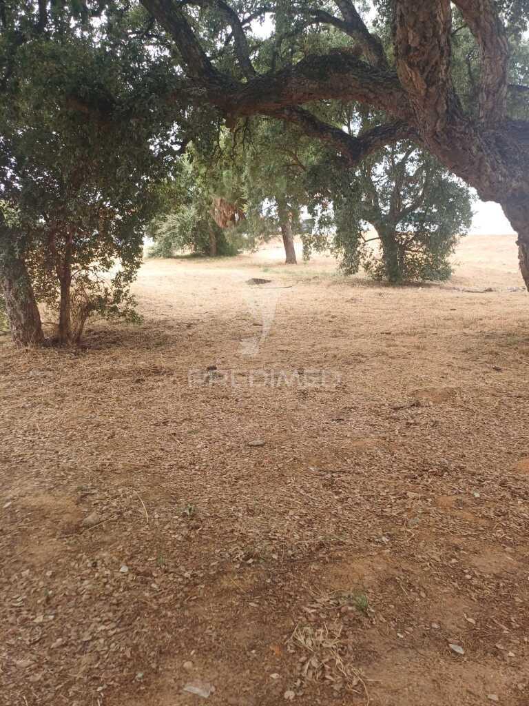 Lote urbanizado com 1.058,50 m2 na quinta do conde