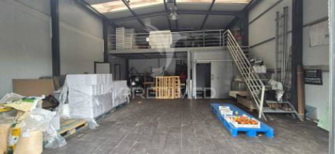 Fantástica quinta de produção de mirtilos, atualmente em produção..