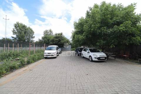 Fantástica quinta de produção de mirtilos, atualmente em produção..