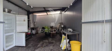 Fantástica quinta de produção de mirtilos, atualmente em produção..