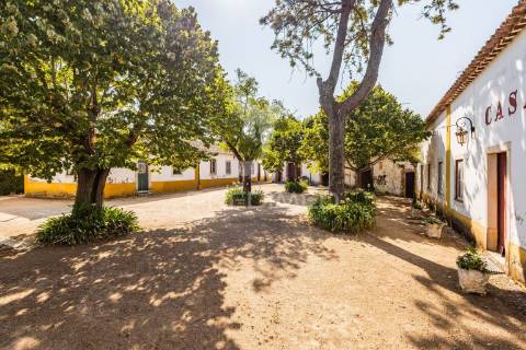Quinta do casalito – elegância, história e potencial no coração do ribatejo