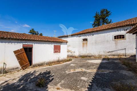 Quinta do casalito – elegância, história e potencial no coração do ribatejo