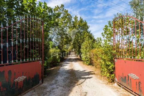 Quinta do casalito – elegância, história e potencial no coração do ribatejo