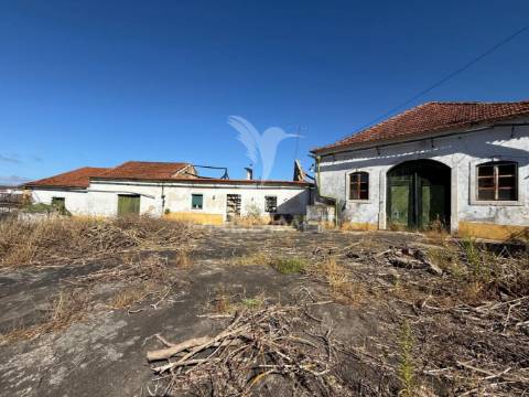 Oportunidade única no centro de alcanena – para restaurar