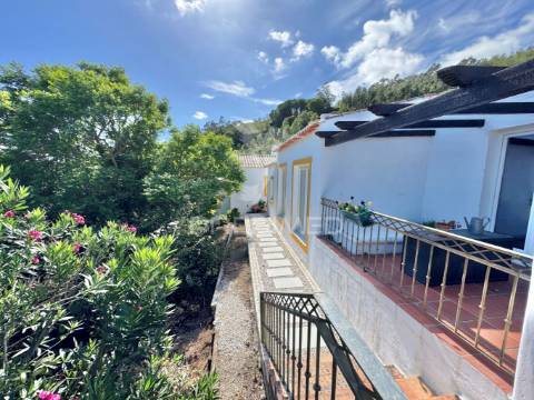 Propriedade com 3 moradias