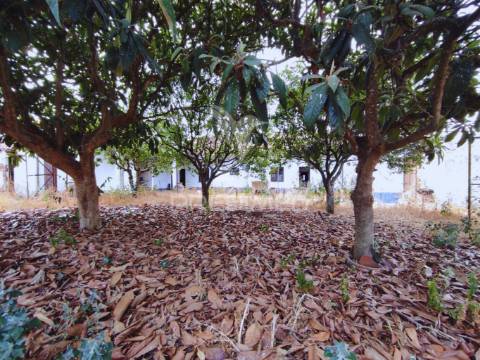 Moradia t4 com amplo espaço de quintal