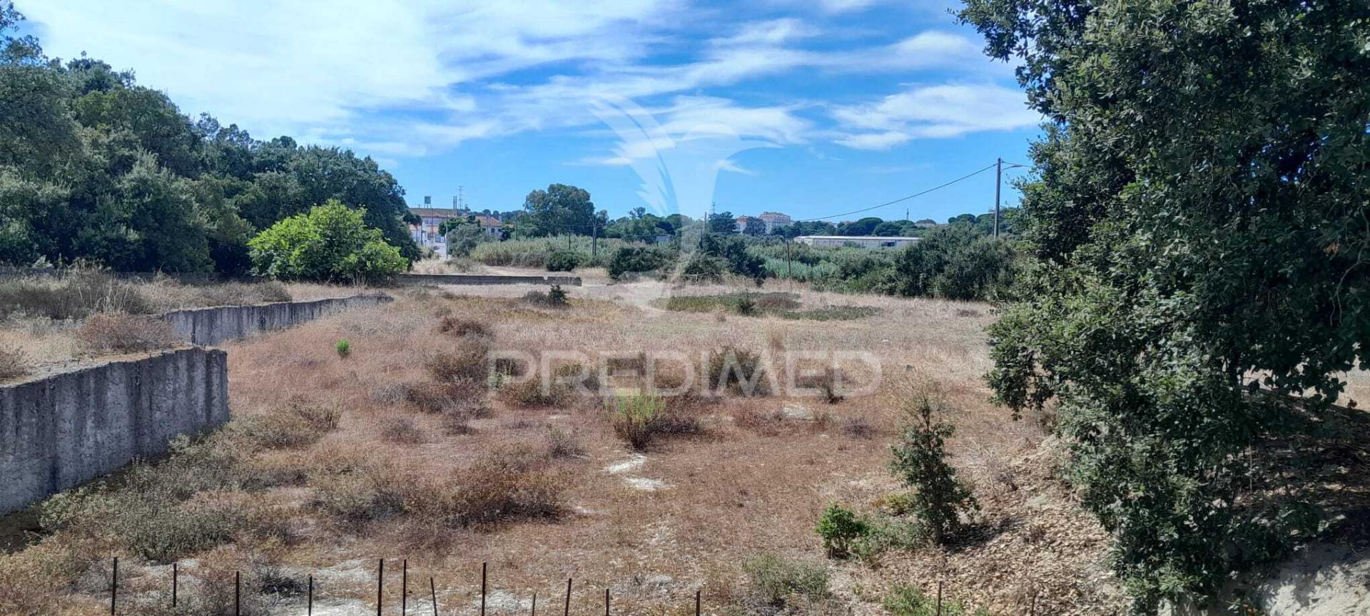 Terreno rustico