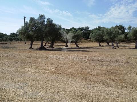 Propriedade -terreno rustico  em vale sobrigo