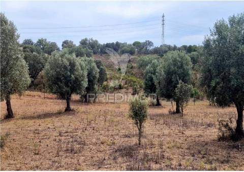 Propriedade -terreno rustico  em vale sobrigo