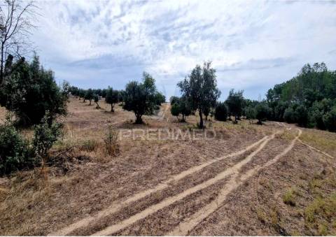 Propriedade -terreno rustico  em vale sobrigo
