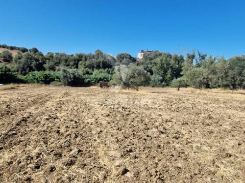 Propriedade -terreno rustico  em vale sobrigo