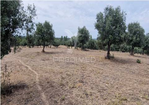 Propriedade -terreno rustico  em vale dos picos