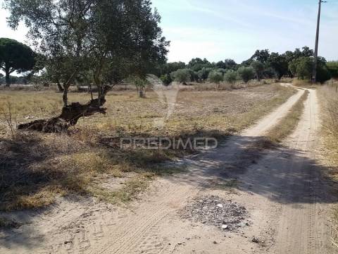 Propriedade -terreno rustico  em vale dos picos