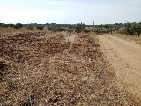 Propriedade -terreno rustico -monte da tumba