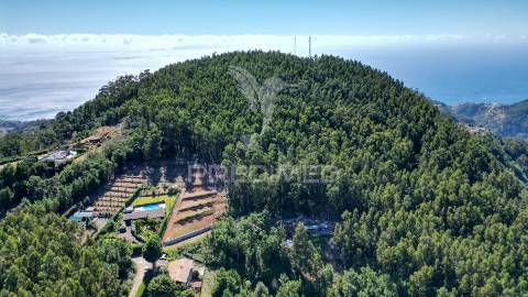 Terreno rútico 3.355m2 boqueirao- gaula