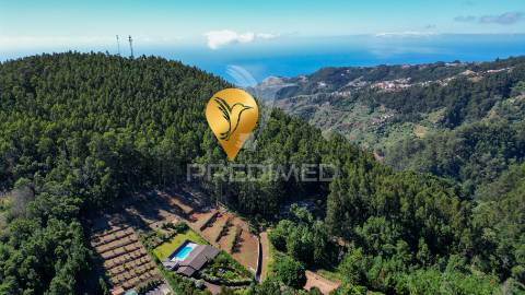 Terreno rútico 3.355m2 boqueirao- gaula