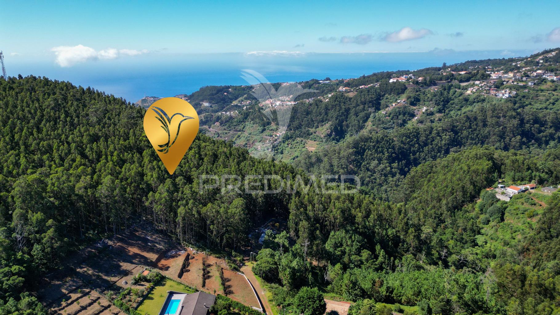 Terreno rútico 3.355m2 boqueirao- gaula