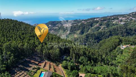 Terreno rútico 3.355m2 boqueirao- gaula