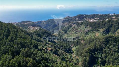 Terreno rútico 3.355m2 boqueirao- gaula