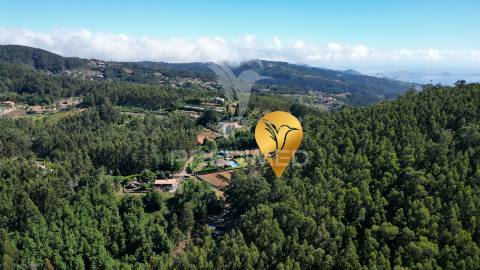 Terreno rútico 3.355m2 boqueirao- gaula