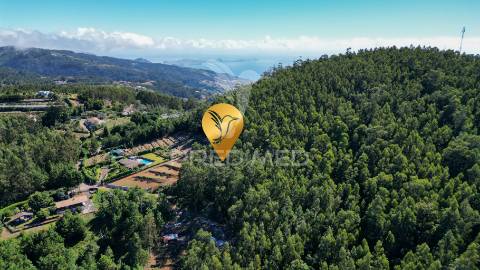 Terreno rútico 3.355m2 boqueirao- gaula