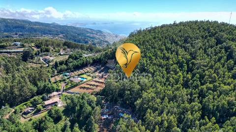 Terreno rútico 3.355m2 boqueirao- gaula