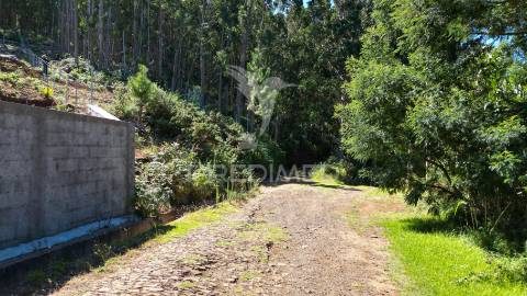 Terreno rútico 3.355m2 boqueirao- gaula