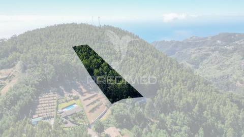 Terreno rútico 3.355m2 boqueirao- gaula