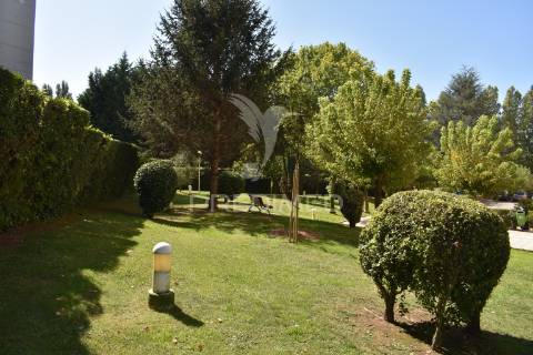 T3 como novo à boavista