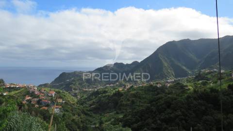 Terreno e palheiro no porto da cruz com 3.740m2