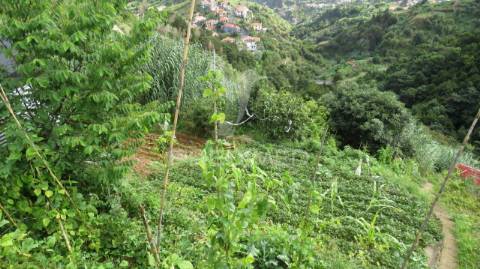 Terreno e palheiro no porto da cruz com 3.740m2