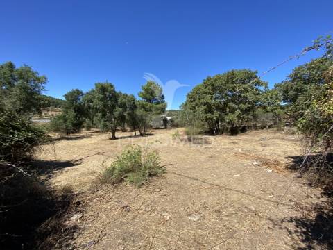 Terreno urbano com 5000mts2, em portalegre