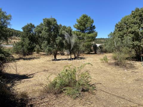 Terreno urbano com 5000mts2, em portalegre