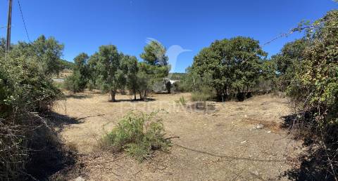 Terreno urbano com 5000mts2, em portalegre