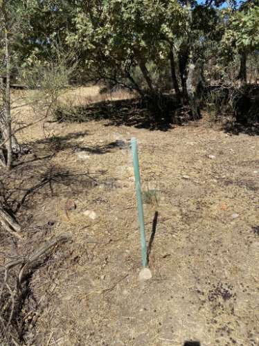Terreno urbano com 5000mts2, em portalegre