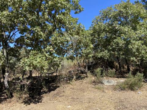 Terreno urbano com 5000mts2, em portalegre