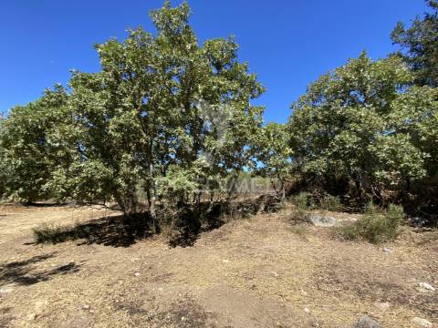 Terreno urbano com 5000mts2, em portalegre
