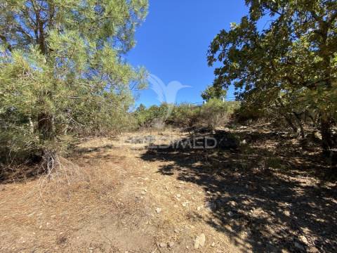 Terreno urbano com 5000mts2, em portalegre