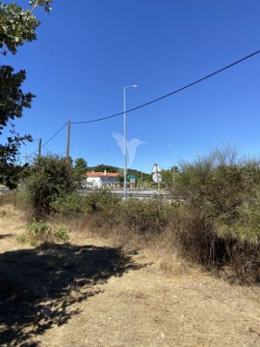 Terreno urbano com 5000mts2, em portalegre