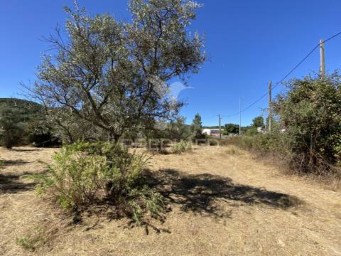 Terreno urbano com 5000mts2, em portalegre
