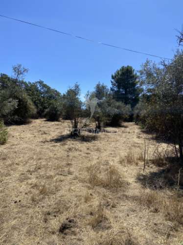 Terreno urbano com 5000mts2, em portalegre