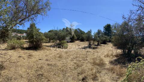 Terreno urbano com 5000mts2, em portalegre