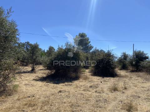 Terreno urbano com 5000mts2, em portalegre