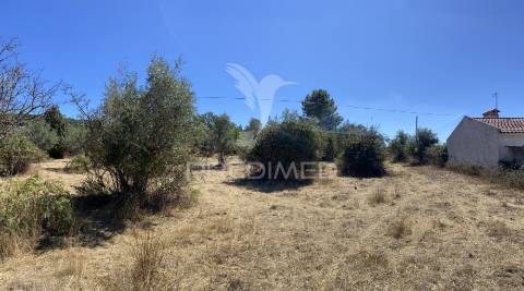 Terreno urbano com 5000mts2, em portalegre