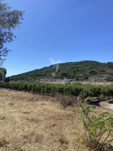 Terreno urbano com 5000mts2, em portalegre