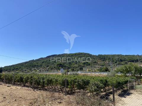 Terreno urbano com 5000mts2, em portalegre