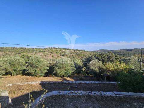 Casa remodelada em alvaiázere com terreno e zona de lazer