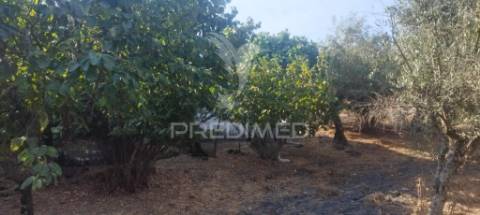 Quinta em galegos/marvão