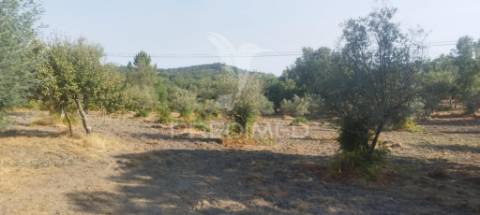 Quinta em galegos/marvão
